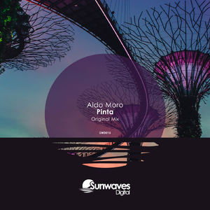 Pinta (Tom Bro Extended Remix)