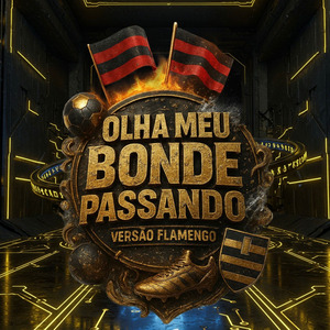 Olha Meu Bonde Passando Flamengo