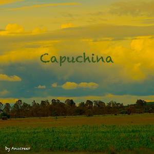 Capuchina
