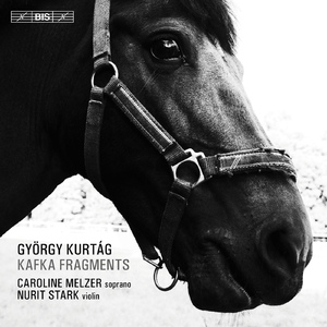 Kafka-Fragmente, Op. 24:Part IV: No. 2. Eine lange Geschichte (A long story)