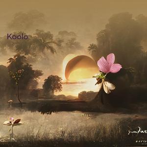 Sunlight in the Cracks