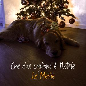 Che due coglioni è Natale