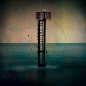 Piano Wire Number 12