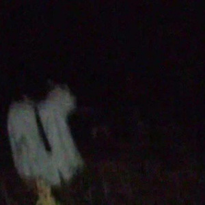 проснуться