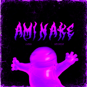 AMINAKE FUNK (Tiktok Version)