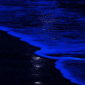 心属（Belong to U）