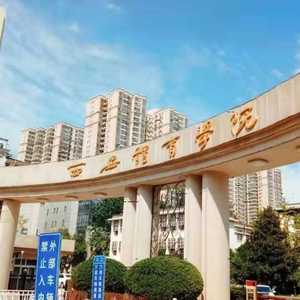 在含光路65号的时光