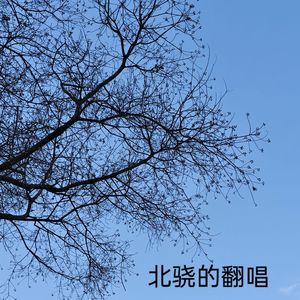 颜色（温柔版）