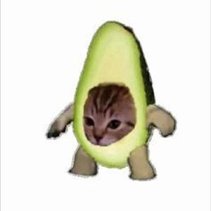 AVOCADO (feat. WAYDE) (Remix)