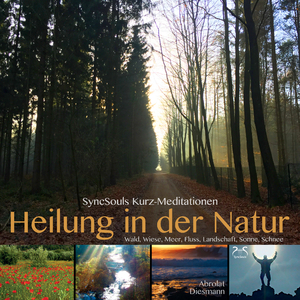 Im Wald Meditation: Waldspaziergang, Wärme, Licht und Wohlgefühl, weibl. Stimme, Teil 4