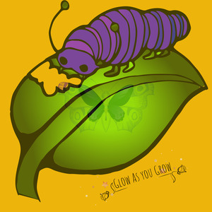 Thyme