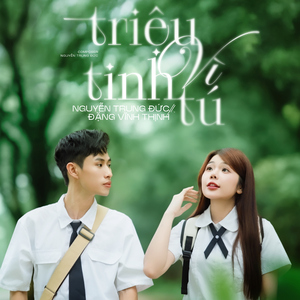 Triệu Vì Tinh Tú