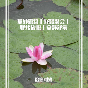 野炊露营静谧舒缓轻音乐