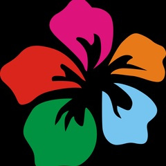 四季花开(成都市龙泉驿区第四小学校歌)