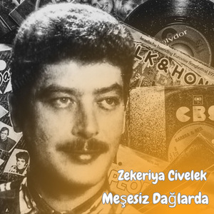 Meşesiz Dağlarda