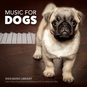 Puppy Music