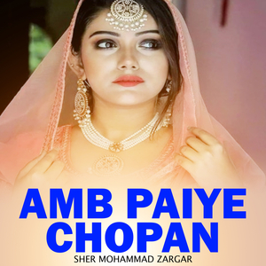 Chitta Mera Bhochan Peela Rang Karwe Aween