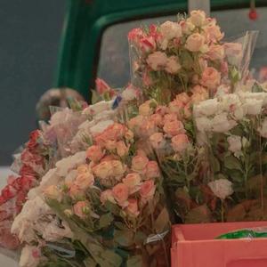 这场青春值得骄傲MMM