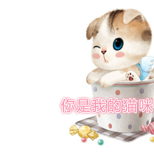 你是我的猫咪