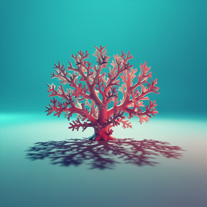 Coral Shadows