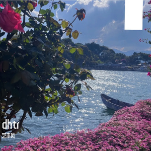 未说出口的故事