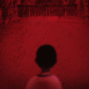 Vampire Diaries"吸血鬼日记"