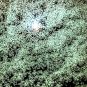 Pellucid