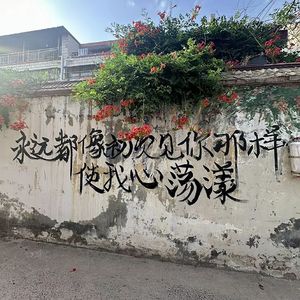 程艾影（纯净吉他）