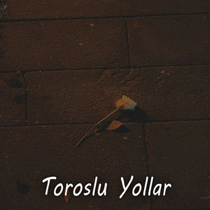 Toroslu Yollar