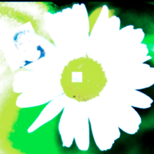 could u wait for me for a year or two?