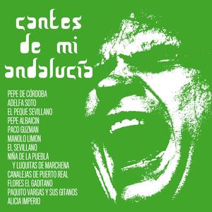 Nunca Te Querré Bastante