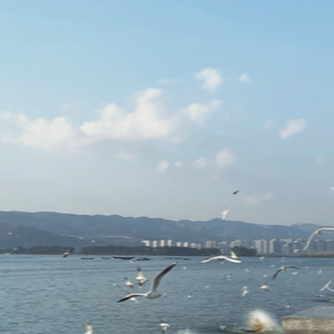 追光者-勇追无局