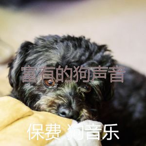 精彩狗环境