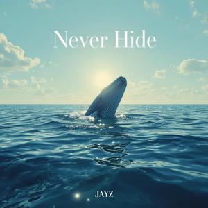 Never Hide