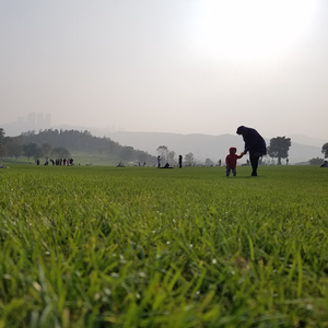 一条穿过所有点的直线