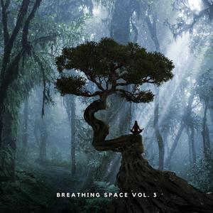 Meditação Guiada: Lidando com Emoções Negativas - Pad