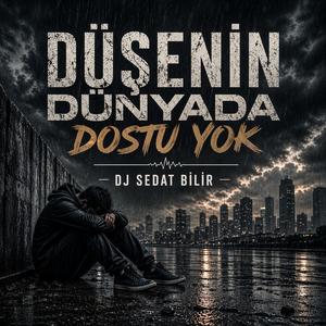 Düşenin Dünyada Dostu Yok