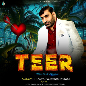 Teer