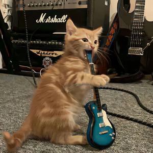 春风吹来了夏天的雨