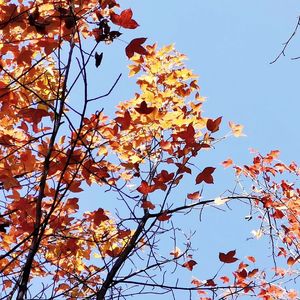 记（Prod . Xouns）