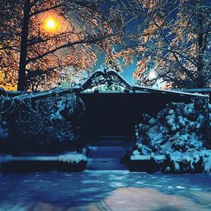 Deanna (Trash Panda)