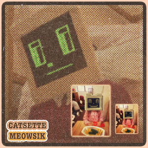 I Have Your Microphone, Microsoft Sam