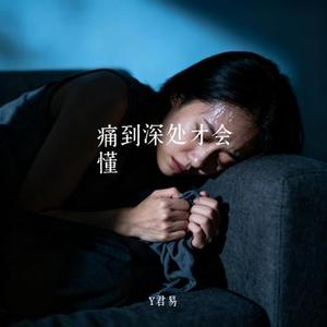 痛到深处才会懂 (Cover 赵鑫)