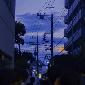 脆弱星球