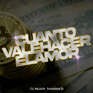 CUÁNTO VALE HACER EL AMOR? (Remix)