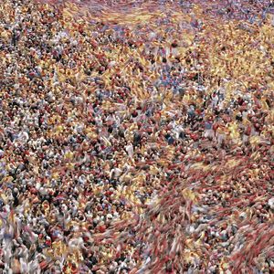 Муравейник