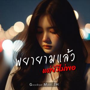 พยายามแล้ว...แต่ยังไม่พอ