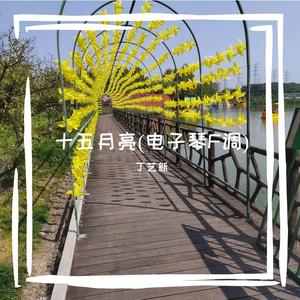 十五的月亮 (电子琴F调)