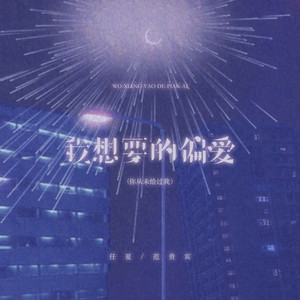 我想要的偏爱 (你从未给过我）