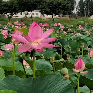 我们都是取经人